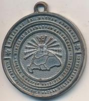 DN "Irredenta virágágy - Bp. Szabadság tér" fém irredenta medál (38mm) T:2-