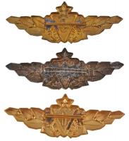~1970-1980. Haditengerészeti 1.,2.,3. osztályos zománcozott, ezüstözött, aranyozott fém jelvények T:...