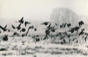 cca 1970 Pintér József: Gravitáció, pecséttel jelzett vintage fotóművészeti alkotás, 16x24 cm