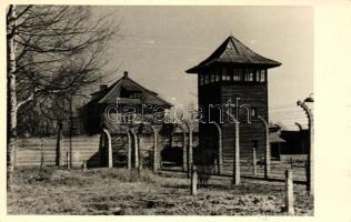 Oswiecim, Auschwitz-Birkenau; Druty / concentration camp, wires, wall tower