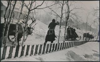 cca 1950 Lappföldi tömegközlekedés, 15x24 cm