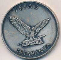 1992. "Budapesti Fegyver, Horgász és Vadászkiállítás / VEFAG - Tatabánya" ezüstözött fém e...