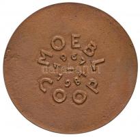 Borsos Miklós (1906-1990) 1987. "MOEBL COOP 1967-1987" nagyméretű kétoldalas Br plakett er...