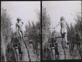 cca 1970 Velencei-tavi sellő, 6 db finoman erotikus fénykép, 15x10 cm / cca 1970 6 erotic photos, 15x10 cm