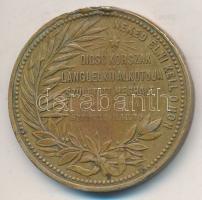 1894. "Kossuth Lajos / Dicső korszak lánglelkű alkotója" Br emlékmedál szalag és fül nélkül (29,5mm) T:2- ph.