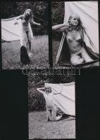 cca 1975 Kempingezni jaj de jó! 7 db finoman erotikus fénykép, 13x9 cm /
cca 1975 7 erotic photos, ...