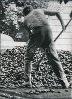 cca 1975 Rezsek György: Lapátoló, pecséttel jelzett vintage fotóművészeti alkotás, 24x18 cm