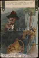 1960 Budapest, fényképes igazolás arról, hogy a Chs. Admirable de Courtillier sárga szőlőfajtát 1960 februárjában (!) 30 forintért kínálták, hátoldalon feliratozva, színezett fénykép, kartonra ragasztva, 23x18 cm