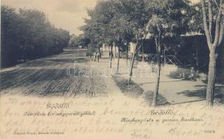 Gödöllő nagyvendéglővel