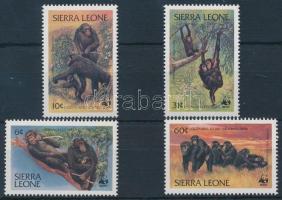 WWF: Csimpánzok sor + 4 db CM + 4 db FDC WWF: Chimpanzees set + 4 CM + 4 FDC