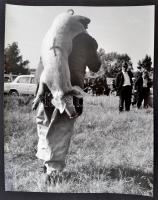 cca 1960 Sztachó Gyula: Malaca van, pecséttel jelzett vintage fotóművészeti alkotás, 37x30 cm