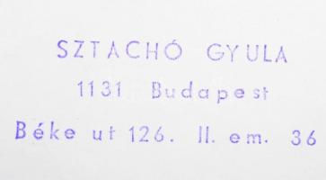 cca 1960 Sztachó Gyula: Malaca van, pecséttel jelzett vintage fotóművészeti alkotás, 37x30 cm