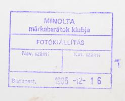 cca 1985 Bence Pál: Erdő, feliratozott vintage fotóművészeti alkotás, 40x30 cm