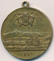 1896. "Magyarország ezeréves fennállása és Ős Budavára emlékére - 1896 / 1687" fém medál (...