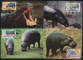 WWF: Hippos set + 4 db CM + 4 FDC, WWF: Vízilovak sor + 4 db CM + 4 FDC