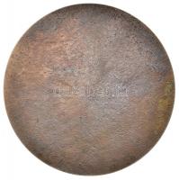 Cyránszki Mária (1940-)  1974. "Móricz Zsigmond Általános Iskola 1954-1974" Br emlékérem (...