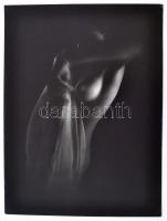 cca 1980 Ujhelyi István: Akt No. 707., pecséttel jelzett vintage fotóművészeti alkotás, 40x30 cm