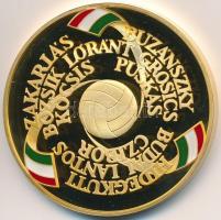 2003. "Magyarország-Anglia 6:3" aranyozott Ag emlékérem, peremén sorszámmal (31,29g/0.999/...