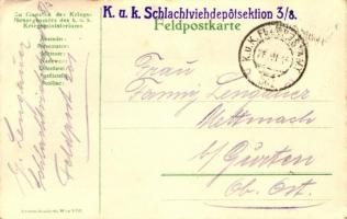 'Winterfeldzug 1914-1915 in den Karpathen, 2. Armee', Zu Gunsten des Kriegsfürsorgeamtes d...