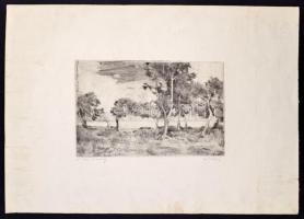 Biai-Főglein István (1905-1974): A váci Duna ág. Rézkarc, papír, jelzett, 20×28 cm