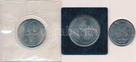 1981. 10Ft "FAO" laminálva + 100Ft "FAO" tanúsítvánnyal tokban + 1983. 20Ft &quo...