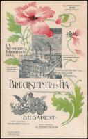 cca 1900 Bp., VII. Bruchsteiner és fia lithográfiai műintézet és bádogplakát gyár képeslap méretű reklámkártya