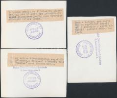 1947 A budapesti állatkert az ostrom után lebombázva. 3 db pecséttel jelzett fotó 11x9 cm