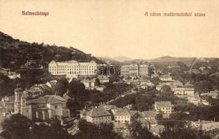 Selmecbánya, Banská Stiavnica; látkép a Bányás- és Erdészeti akadémiák épületeivel / panorama with the buildings of the Mining- and Forestry Academies (EK)