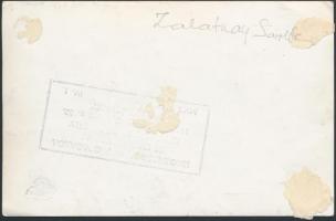 Zalatnay Sarolta (1947-) magyar énekesnő, író Idegenforgalmi Propganda pecséttel jelzett fotója, 9x1...