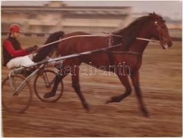 cca 1930-70 Lovas fotók, különböző méretben és minőségben, 7db, 6x4cm és 24x18cm között