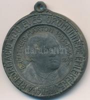 Szász Vilmos (1884-1923) 1917. "A reformáció 400 éves örömünnepe emlékére 1517-1917 - Dr. Luther Márton 1483-1545 / 1517. okt. 31." hadifém emlékérem füllel (33mm) T:2-,2