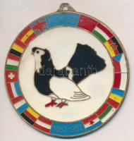 1982. "Magyar Galamb- és Kisállattenyésztők Országos Szövetsége" fém plakett füllel (68mm) T:2