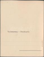 Budapest VIII. Múzeum körút, Taussig;  hajtatlan panorámalap