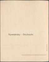 Budapest I. Döbrentei tér, kilátás a Gellért-hegyről, Taussig;  hajtatlan panorámalap