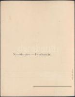 Budapest I. Szent Gellért szobra, Taussig;  hajtatlan panorámalap