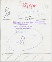 cca 1975 Tavaszi pitypangok. Révész Tamás felvétele. A hátoldalán pecséttel jelzett. 18x15,5 cm