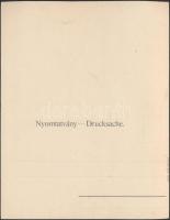 Budapest V. Országház a Mátyás Király gőzhajóval, Taussig;  hajtatlan panorámalap