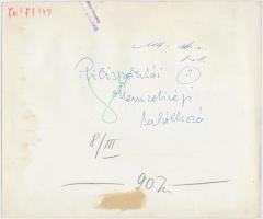 cca 1970 A Pilisszántói Nemzetiségi Találkozó. A hátoldalon pecséttel. 24,5x21 cm