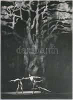 cca 1975 A Cédrus-balett az Állami Operaházban. Sajtófotók, Mezey Béla felvételei. A hátoldalon pecs...