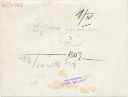 cca 1965 Április 4-i koszorúzás. Fényes Tamás felvétele. Hátoldalán pecséttel jelzett. 17x13 cm