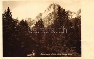 1931 Ameiskogel berg, Jagdhaus / Mount Ameiskogel, hunters lodge, photo (EK)