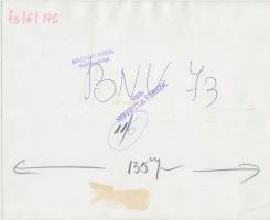 1973 Képek az 1973-as BNV-ről. (Budapesti Nemzetközi Vásár) Novotta Ferenc felvételei, hátoldalon pe...