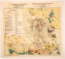 cca 1910 A Tatabányai szénmedence bányaföldtani térképe, Rozlozsnik Pál, hajtogatva, szép állapotban, 71x78cm