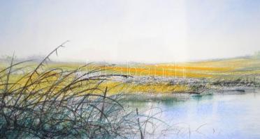 Mohácsi jelzéssel: Alföldi táj. Pasztell, papír, üvegezett keretben, 43×55 cm