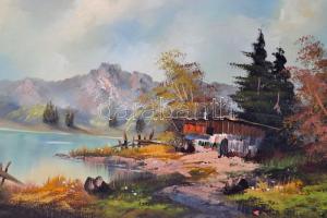 Fin jelzéssel: Alpesi táj.  Olaj, vászon, keretben, 40×80 cm