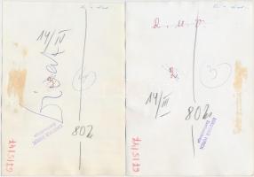 cca 1967 Divatbemutató. 5 db sajtófotó, a hátoldalon pecséttel. 18x13 cm