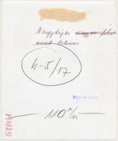 cca 1967 Nagydíjas arab telivér ló. Sajtófotó, hátoldalán pecséttel, feliratozva. 19x16 cm