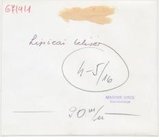 cca 1967 Lipicai ménes. Sajtófotó, hátoldalán pecséttel, feliratozva. 19x16,5 cm