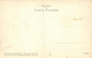 Sinaia, Castelul Peles / castle, officers