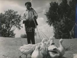 1949 Soós Imre(1930-1957) színész a Ludas Matyi című film werkfotóján, Magyar Film Fotó, 23x29 cm
